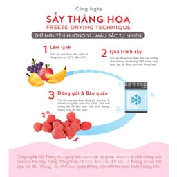 Thumbnail Dâu Tây Sấy Giòn - Túi 80g 3