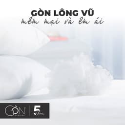 Thumbnail Ruột Gối Nằm Em Bé Gòn Bedding Gòn Lông Vũ 40x60 cm | 35x50 cm Chuẩn Khách Sạn 4-5* 3