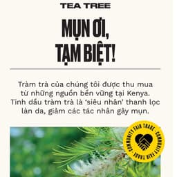 Thumbnail Sữa Tắm Tràm Trà Tea Tree Body Wash 250ml THE BODY SHOP 2