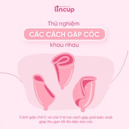 Thumbnail Combo Cốc nguyệt san Lincup đi kèm túi lụa, bàn chải vệ sinh cốc 2
