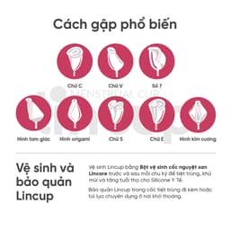 Thumbnail Combo Cốc nguyệt san Lincup 3 size kèm 2 dung dịch vệ sinh rửa cốc Lincare Rose (50ml x2) 4