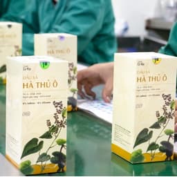Thumbnail Dầu Xả Hà Thủ Ô Cenota Cỏ Mộc Ngăn Gãy Rụng, Mềm Mượt 300ml 4