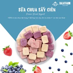 Thumbnail Sữa Chua Sấy Giòn DalatFarm - Hộp 100g 1