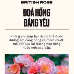 Thumbnail Sữa Tắm Hương Hoa Hồng British Rose Shower Gel The Body Shop 3