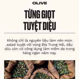Thumbnail Sữa Tắm Dạng Gel Olive Shower Gel 250ML THE BODY SHOP 2