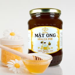 Thumbnail Combo Tinh bột nghệ 500g + Mật ong hoa cà phê 1kg - Nguyên chất Beemo 3