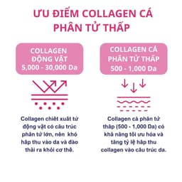 Thumbnail Bột Uống Collagen BB LAB Low Molecular Collagen Chậm Lão Hóa Da, Sáng Da Căng Bóng, Giảm Nếp Nhăn, Mờ Nám 30 Gói/Hộp 4