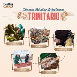 Thumbnail Túi 50g Bột cacao nguyên chất Việt Nam 100% Heyday - Dòng Balanced phổ thông - Mẫu 2024 4