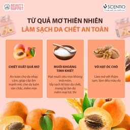 Thumbnail Tẩy tế bào chết toàn thân quả mơ Scentio Apricot Sherbet Body Scrub 350ml 4