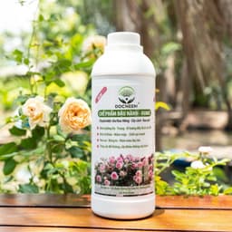 Thumbnail Chế phẩm đậu nành humic hữu cơ DOCNEEM, giàu đạm, bổ sung trứng, chuối, kích mầm hoa hồng, rau sạch, cây cảnh, chai 1L 2