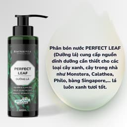 Thumbnail Phân bón DƯỠNG LÁ MONROVIA hữu cơ giúp lá xanh mướt, tươi tốt dành cho cây cảnh, dung tích 500ml 1