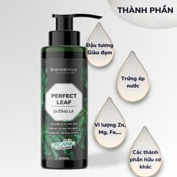 Thumbnail Phân bón DƯỠNG LÁ MONROVIA hữu cơ giúp lá xanh mướt, tươi tốt dành cho cây cảnh, dung tích 500ml 2