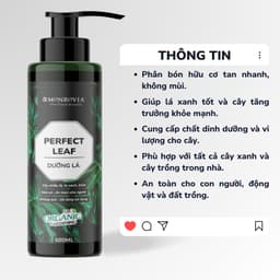 Thumbnail Phân bón DƯỠNG LÁ MONROVIA hữu cơ giúp lá xanh mướt, tươi tốt dành cho cây cảnh, dung tích 500ml 3