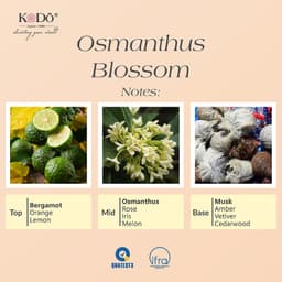 Thumbnail Tinh Dầu Nước Hoa Kodo Osmanthus Blossom Hoa Mộc Tê Làm Thơm Phòng, Không Gian -  Classic Collection - Chai 10/50/100ml 2