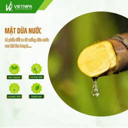 Thumbnail Mật dừa nước cô đặc hữu cơ VIETNIPA dùng thay thế mật ong, mật mía, đường ăn kiêng 3