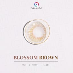 Thumbnail Kính áp tròng QUYNH LENS Blossom Brown 0-8 độ 1