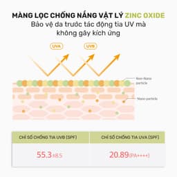 Thumbnail Kem chống nắng Round Lab Birch Juice Mild-up Sunscreen 50ml kiểm soát dầu thừa bã nhờn 3