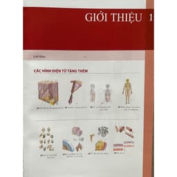 Thumbnail Sách - Atlas Giải Phẫu người bản số 8.2023 4