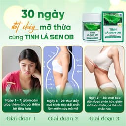 Thumbnail Tinh Lá Sen OB Detox Cần Tây, Lá Sen, Trà Xanh Hỗ Trợ Giảm Cân, Thon Dáng, Đẹp Da (Hộp 50g) 3