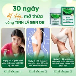 Thumbnail Tinh lá sen tươi OB Bột Cần Tây Giảm Cân Giảm Mỡ Bụng Detox Trà Xanh (Hộp 50g) 1