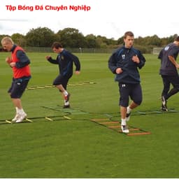 Thumbnail Thang Dây Tập Luyện Thể Thao Thể Lực Tốc Độ - Thang Dây Tập Đá Bóng Đá Banh, Võ Thuật Gym Dài 3m – 6m Chính Hãng Amalife 4