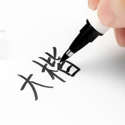 Thumbnail Bút lông vỏ trắng luyện viết thư pháp,chữ Hán 3