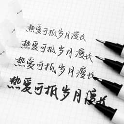 Thumbnail Bút lông vỏ trắng luyện viết thư pháp,chữ Hán 2