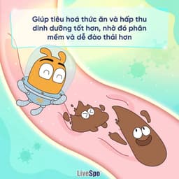 Thumbnail Combo 3 hộp Men vi sinh chứa Bào tử lợi khuẩn LiveSpo Pregmom cho bé Táo bón, Biếng ăn (20 ống) 4