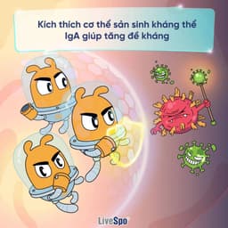 Thumbnail Combo 6 hộp Men vi sinh chứa Bào tử lợi khuẩn LiveSpo Pregmom cho bé Táo bón, Biếng ăn (20 ống) 4