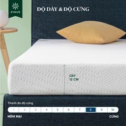 Thumbnail Nệm Foam HD Bảo Vệ Cột Sống Dày 12cm Zinus - 5in Foam Mattress Extra 2
