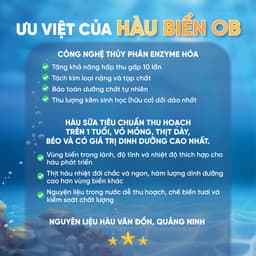 Thumbnail Viên Uống Bổ Thận Hàu Biển Tăng Sinh Lý Nam Hỗ Trợ Sức Khỏe Nam Giới Oyster (Hộp 30v) 3