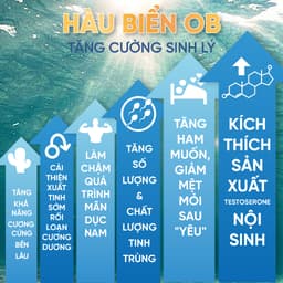 Thumbnail Viên Uống Bổ Thận Hàu Biển Tăng Sinh Lý Nam Hỗ Trợ Sức Khỏe Nam Giới Oyster (Hộp 30v) 4