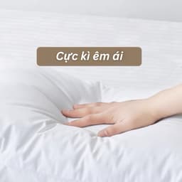 Thumbnail Gối Nằm Ngủ Thấp 8 Cm Latalia Lasante Thoáng Khí, Êm Ái 45x65 Cm 3