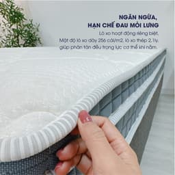 Thumbnail Nệm lò xo túi độc lập JOY Changmi Bedding ép chân không tiện lợi, êm ái, nâng đỡ, ngăn đau mỏi lưng. Bảo hành 10 năm 4