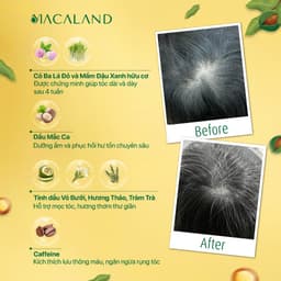 Thumbnail Xịt dưỡng tóc Mắc Ca Macaland 30ml/100ml hỗ trợ tóc mọc nhanh giảm tình trạng khô xơ 4