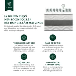 Thumbnail Nệm Lò Xo Gel Mát Cao Cấp Dày 25cm Zinus - 10in Gel-Infused Memory Foam Hybrid Spring Mattress 3