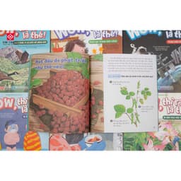 Thumbnail Sách - Wow, thì ra là thế - Khám phá khoa học cho trẻ từ 6 - 12 tuổi - Đinh Tị Books 4