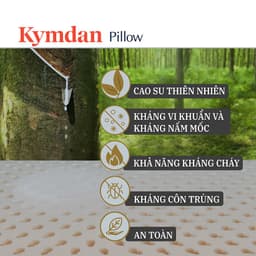 Thumbnail Gối cao su thiên nhiên Kymdan Pillow LumbarLatex Travel 1