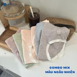 Thumbnail Combo 5 Quần Lót Nữ Cotton Hình Gấu Bear Co Giãn Thấm Hút ( 45-62kg) By Bechipi QL1220 3
