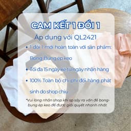 Thumbnail Combo 5 Quần Lót nữ Sợi Tre Kháng Khuẩn Thấm Hút QL2421 by BeChipi 2