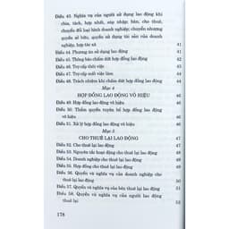 Thumbnail Sách - Bộ Luật Lao Động (Hiện Hành) 3