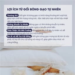 Thumbnail Gối gòn bông gạo tự nhiên 100% cotton Changmi Bedding nhẹ nhàng, mềm mại, êm ái và cực kỳ bền 2