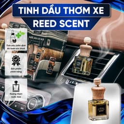 Thumbnail Tinh dầu ôtô - CỬA GIÓ nhiều  mùi thơm sang, kiểm định , không say xe Reed Scent_XETHOM 1