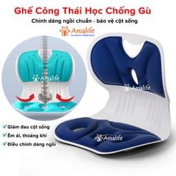 Thumbnail Ghế Công Thái Học Chống Gù Lưng, Ghế Văn Phòng Giúp Ngồi Thẳng Lưng Phù Hợp Trẻ Em Sinh Viên Người Làm Việc Hãng Amalife 1