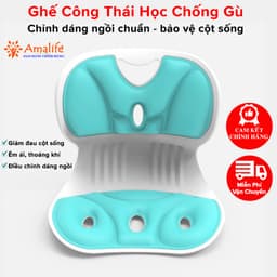 Thumbnail Ghế Công Thái Học Văn Phòng Chính Hãng Amalife Chống Gù Lưng Chống Mỏi Cột Sống Cho Trẻ Em Học Sinh Người Lớn 1