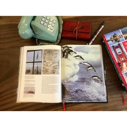 Thumbnail Sách Kỳ Quan Thế Giới ( World’s Greatest Wonder )Bảo tàng hình ảnh minh hoạ 3D thuyết mình trực quan 4