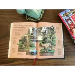 Thumbnail Sách Kỳ Quan Thế Giới ( World’s Greatest Wonder )Bảo tàng hình ảnh minh hoạ 3D thuyết mình trực quan 3