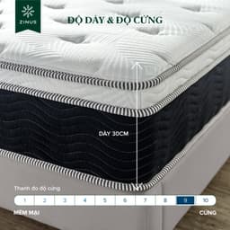 Thumbnail Nệm Lò Xo Trị Liệu Cao Cấp Dày 30cm Zinus - 12in iCoil Premium Spring Mattress 3