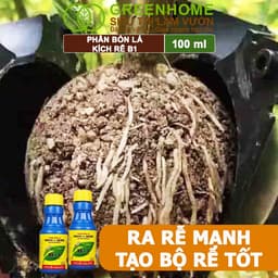 Thumbnail Phân Bón Kích Rễ, Greenhome, B1, Chai 100ml, Tạo Mầm, Rễ Khoẻ, Sai Hoa, Phục Hồi Rễ Yếu, Lá Dày 2