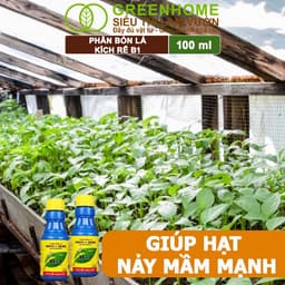 Thumbnail Phân Bón Kích Rễ, Greenhome, B1, Chai 100ml, Tạo Mầm, Rễ Khoẻ, Sai Hoa, Phục Hồi Rễ Yếu, Lá Dày 4